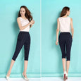 Lynn High Waist Stretch Harem Pants Bottoms Claire & Clara