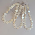 Natural Shell Clavicle Necklace Necklace Claire & Clara